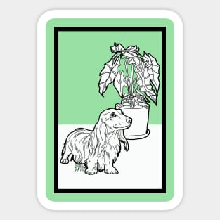 Dachshund and Elephant Ear Plant Sticker